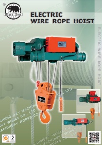 Black Bear Electric Wire Rope Hoist (AC Brake)